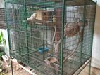 Zoo Net Cage